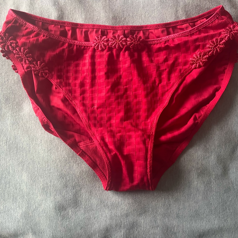 Marie Joe gingham panty with daisy appliqué in XL.